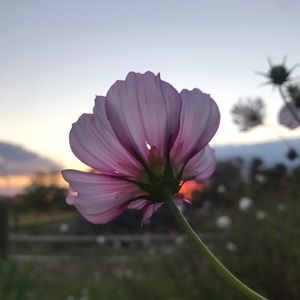 Meet your Posher, Arvilla